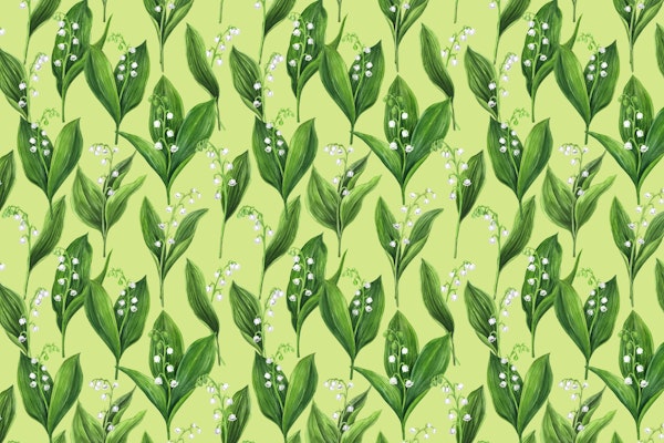 Lily of the valley 2