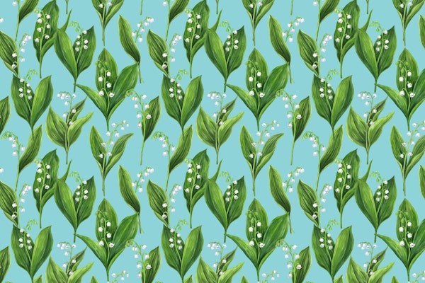 Lily of the valley 3