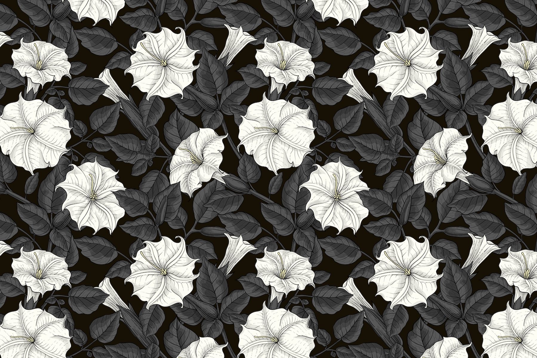 Moonflowers 2 Wallpaper - Floral and Nature-Inspired Wallpapers | Happywall