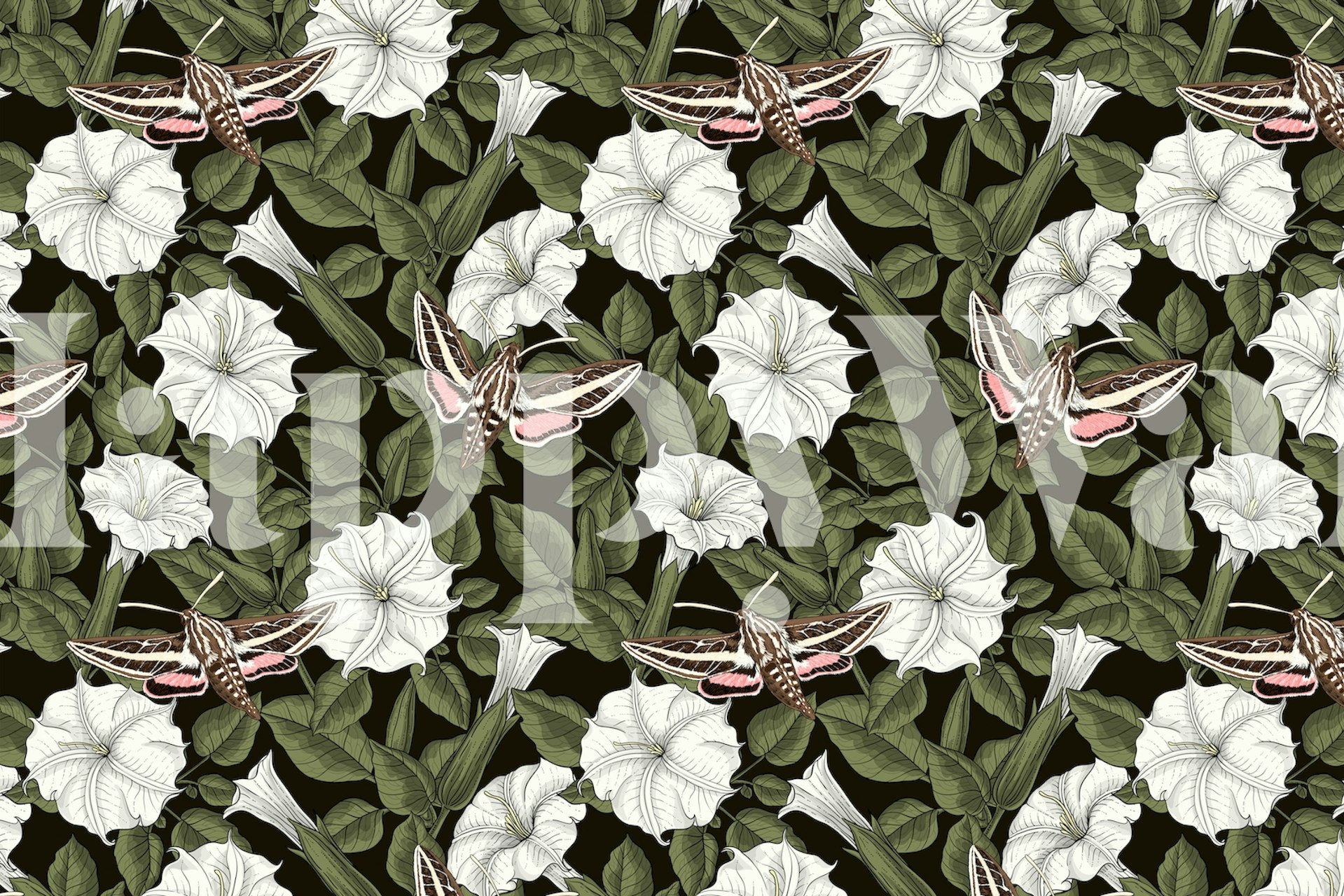 Moonflowers and Sphinx Moths Wall Mural – Enchanting Floral and Moth Pattern on Muted Green Background