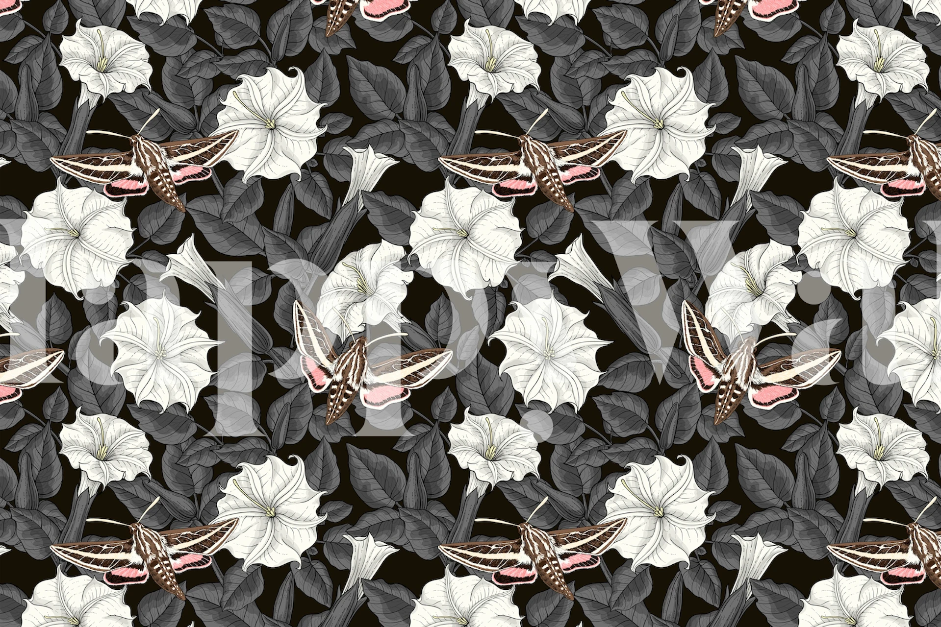 Moonflowers og sphinx moths i et rum