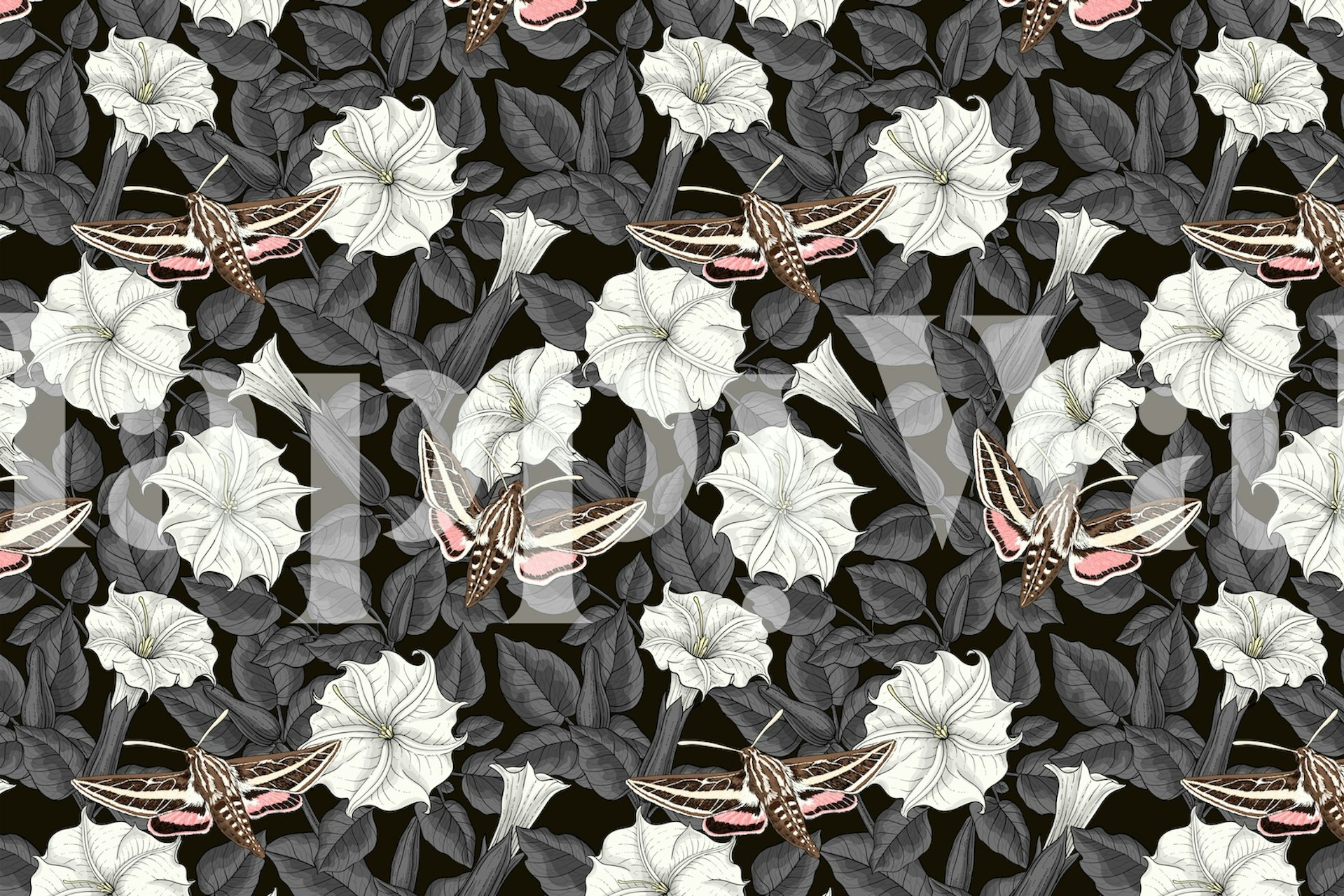 Moonflowers and sphinx moths wallpaper in a room