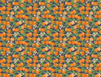 Fruits - Oranges on Blue behang