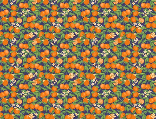 Fruits - Oranges on Blue