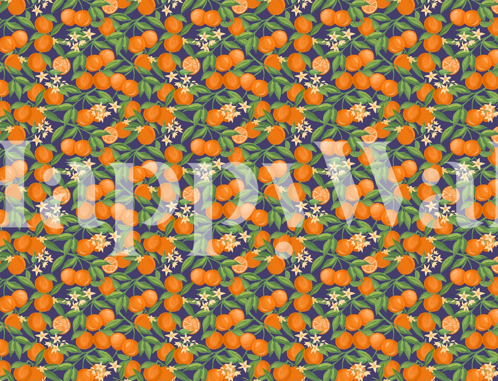 Orange fruits and white flowers on blue background wallpaper