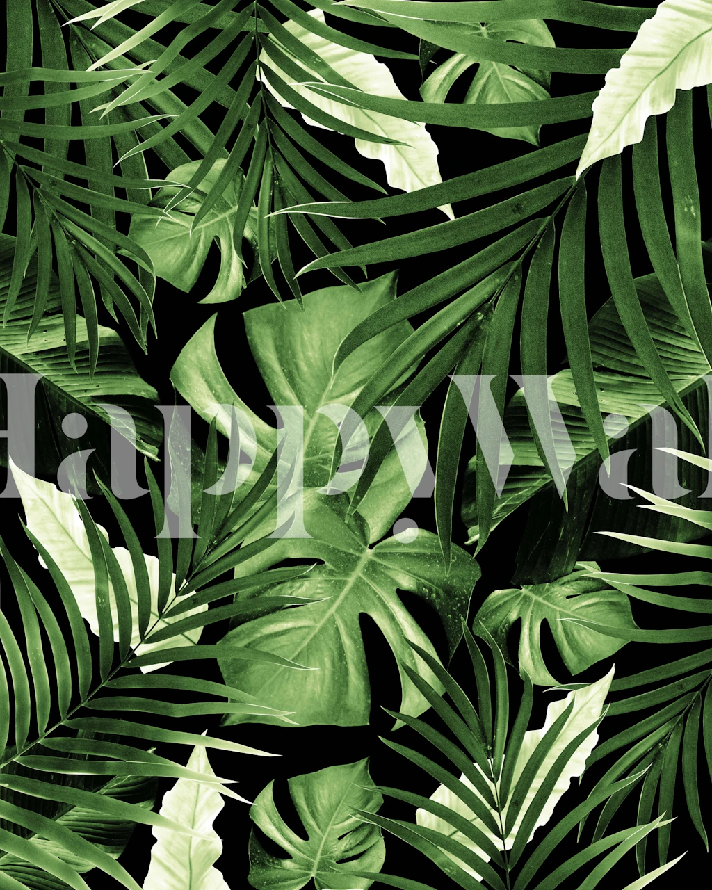 Tropical green leaves against a dark background wallpaper