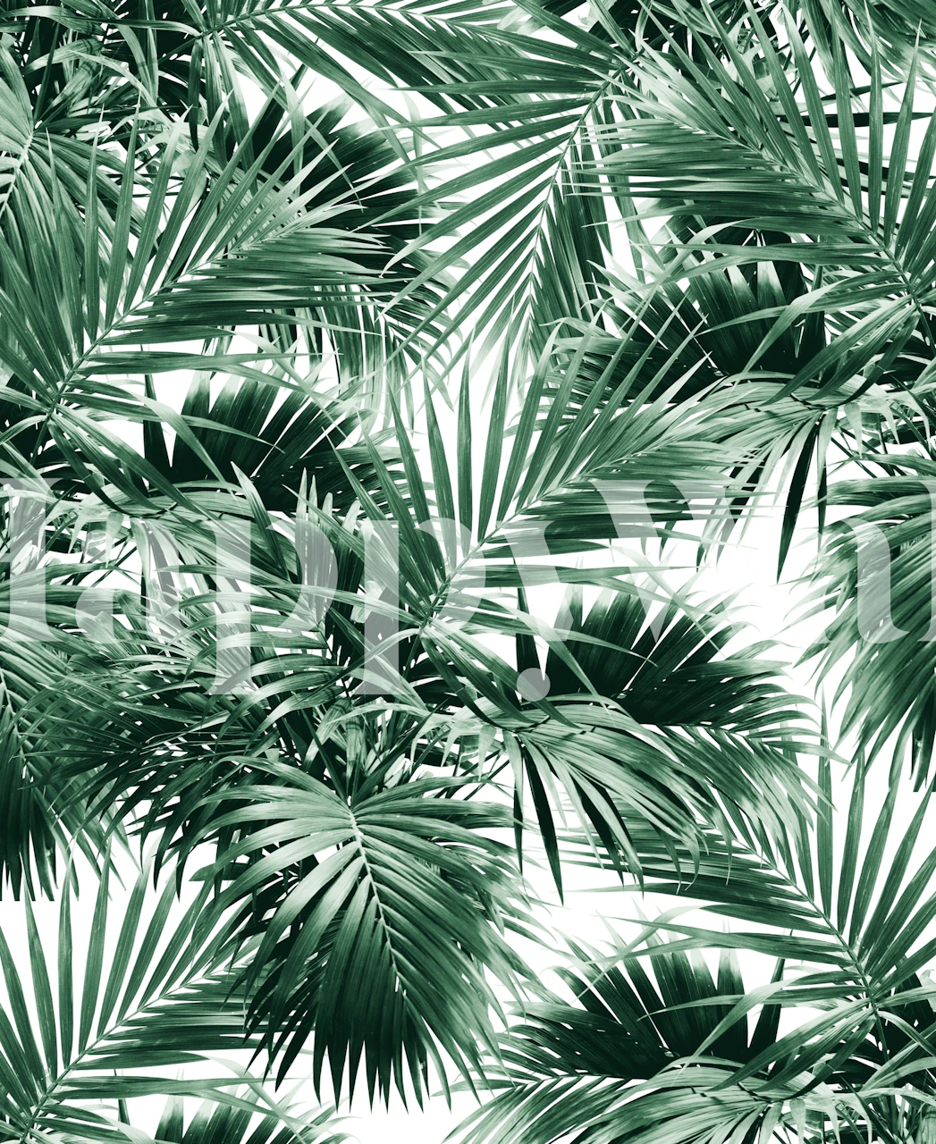 Vihreä trooppinen palmulehtinen seinämaalaus