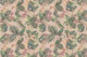Jungle leaves tropical birds