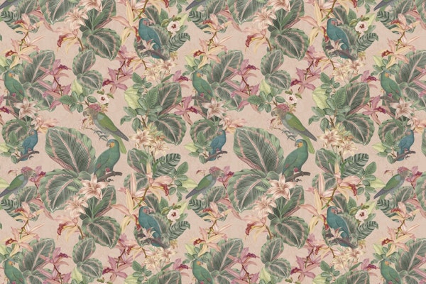 Jungle leaves tropical birds