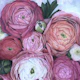 Arleth cool pink bouquet