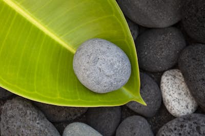 Τοιχογραφία