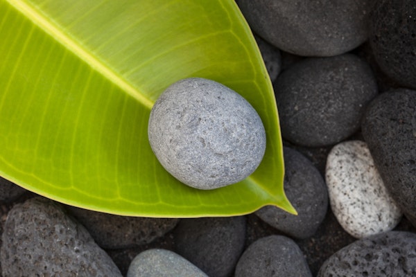 Still With Pebble And Leaf