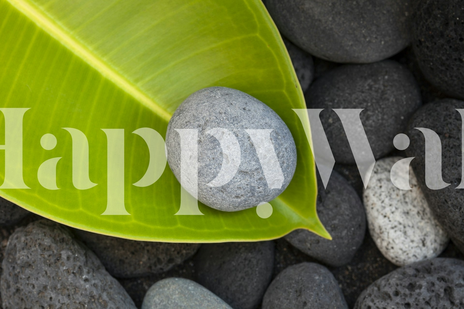 Zen-inspired wall mural featuring a green leaf and smooth pebbles