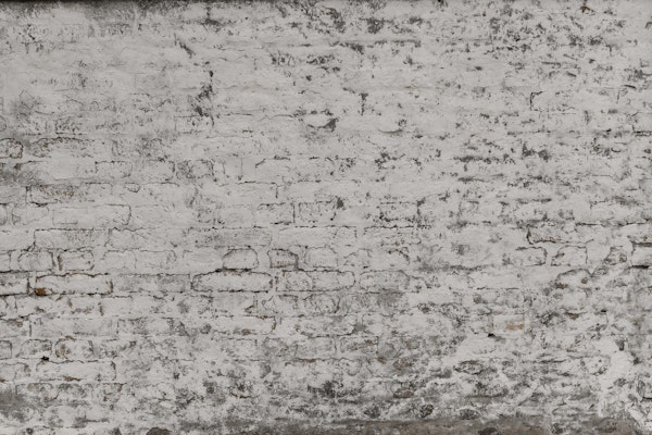 Rustic Loft Brick Wall 1