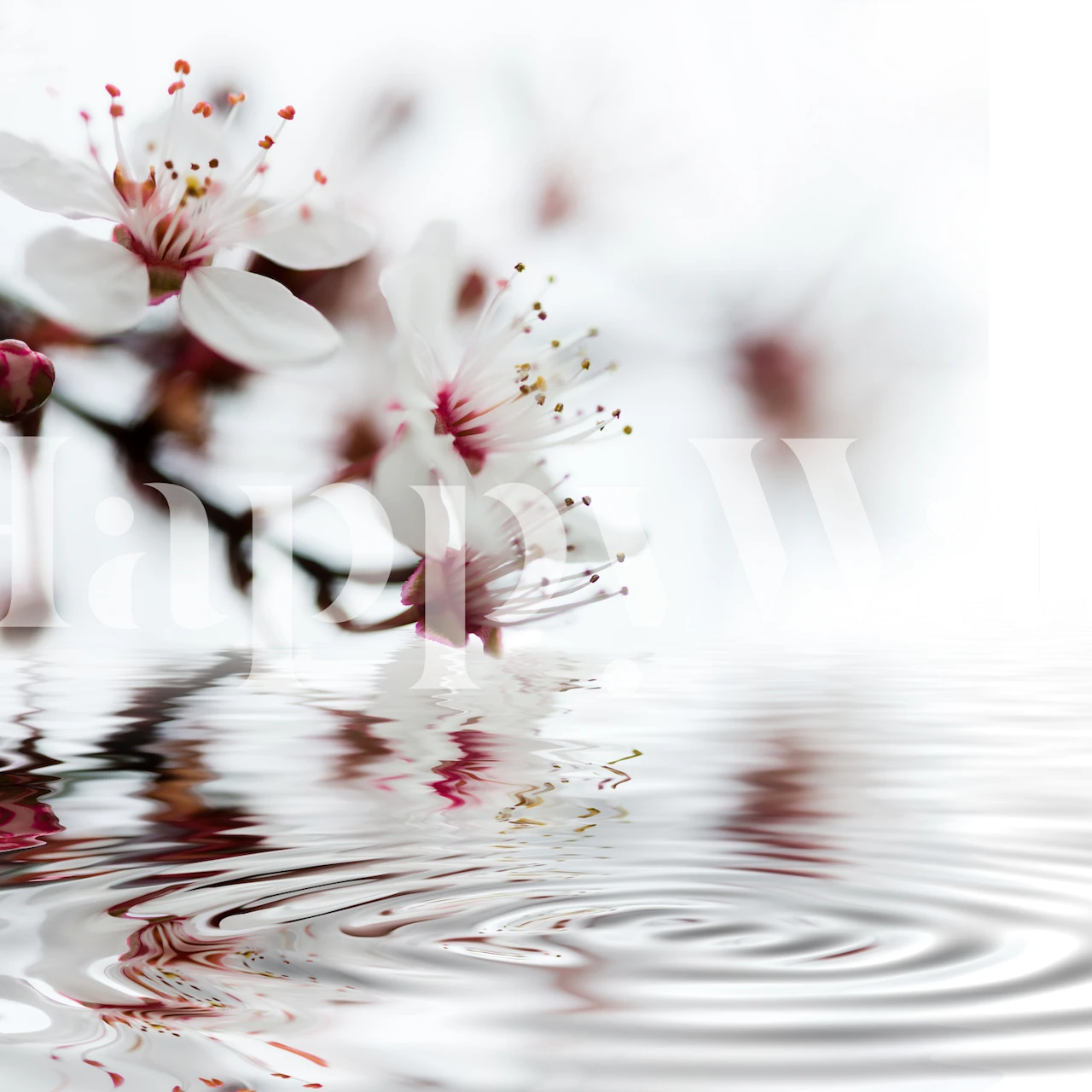 Sakura Zen Moment -tapettisuunnittelu huoneessa