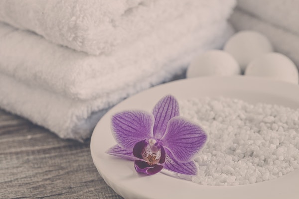 Orchid Zen Spa Still Life