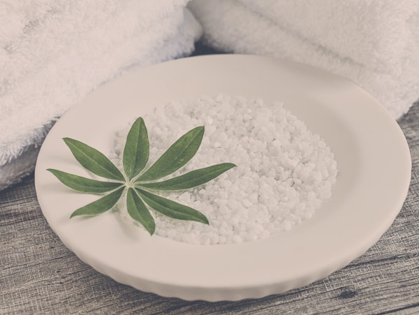 Spa Still Life With Green Leaf