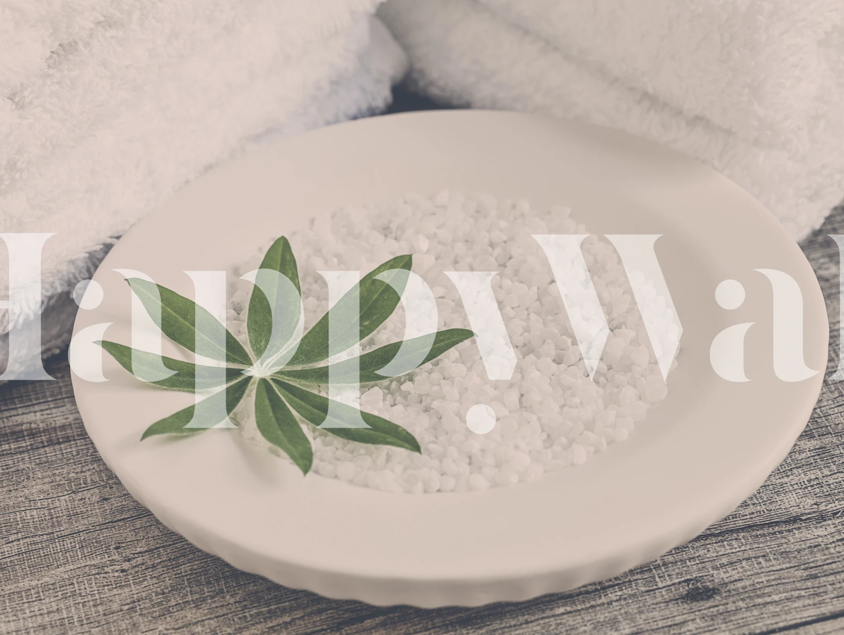 Spa stilleven muurschildering met groen blad en badzout op een bord naast een witte handdoek