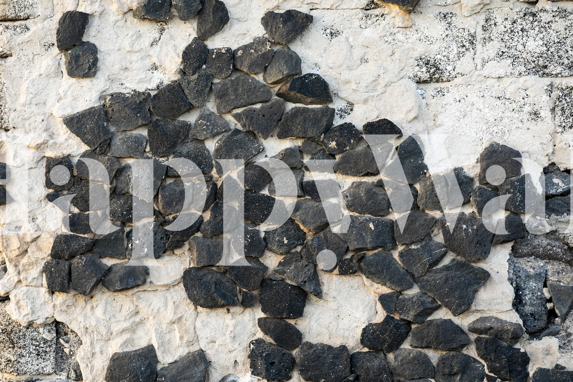 Black lava rock wallpaper featuring textured black stones on a light background