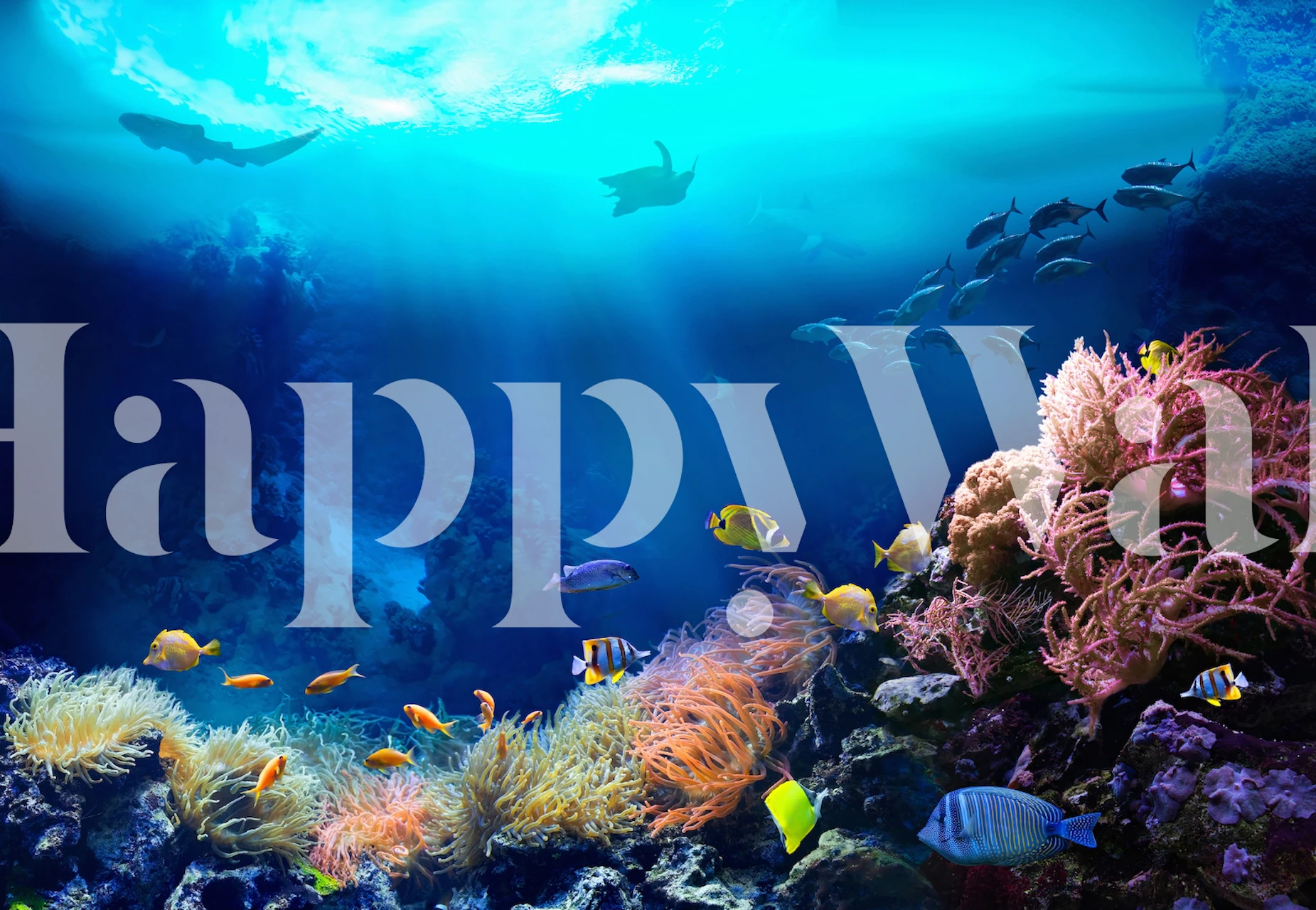 Colorful underwater scene with fish and coral wallpaper