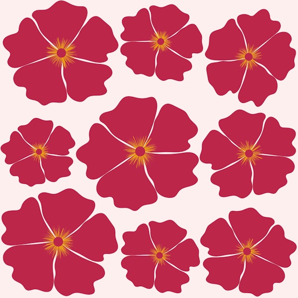 MAGENTA FLOWERS FESTIVAL