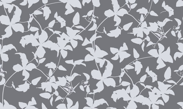 Clematis Flower Silhouette 2