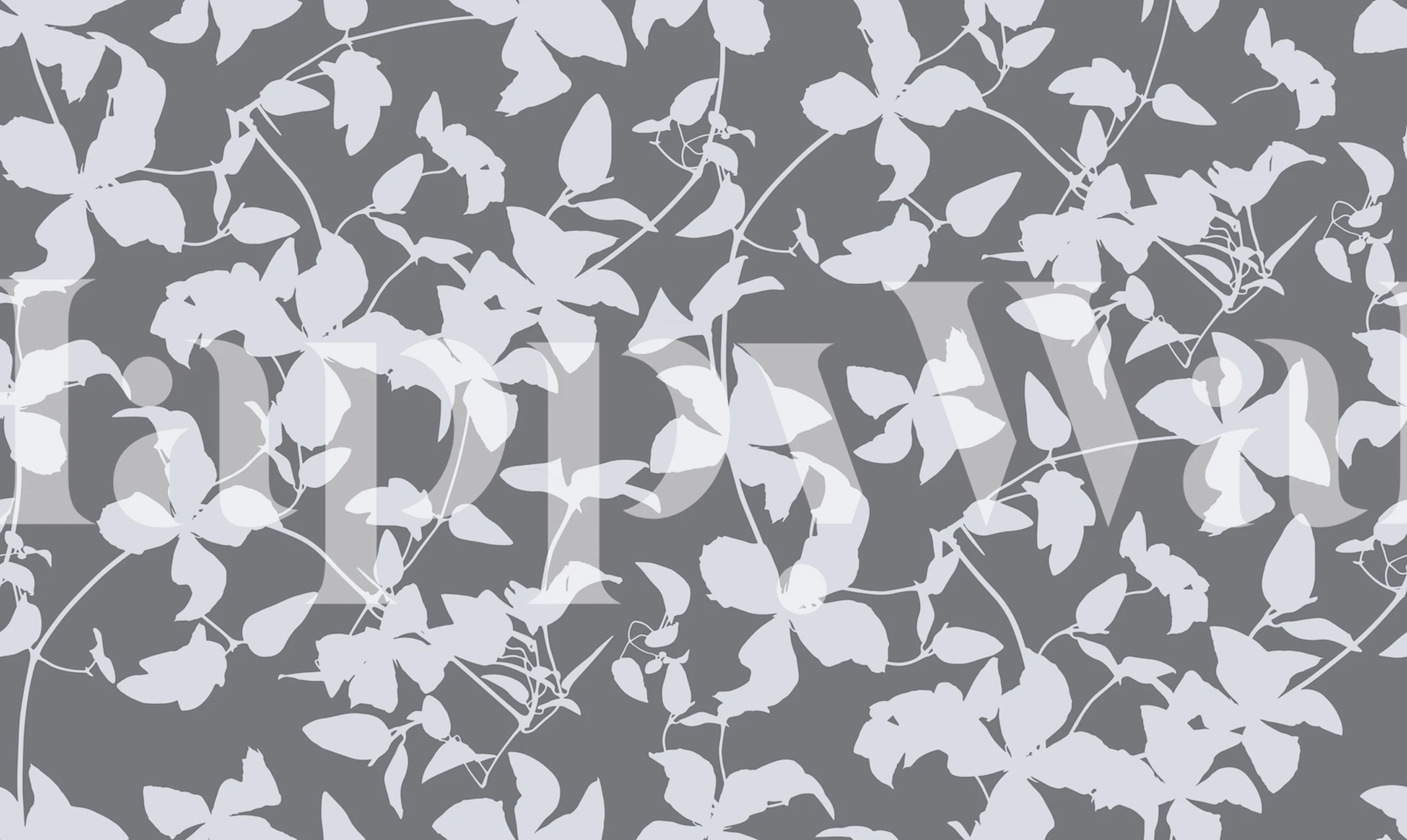 White clematis flower silhouettes on grey background wallpaper