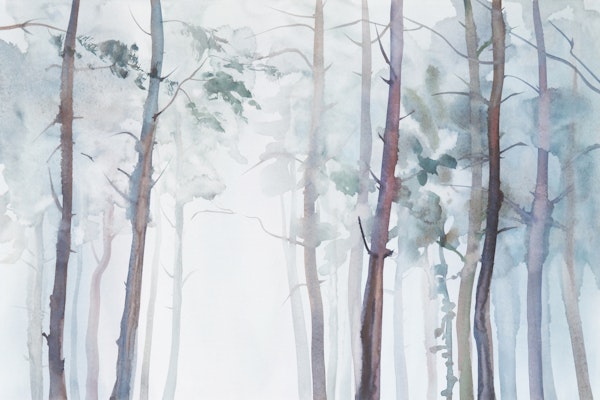 Watercolor foggy forest