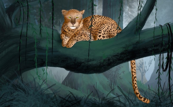 Leopard in jungle