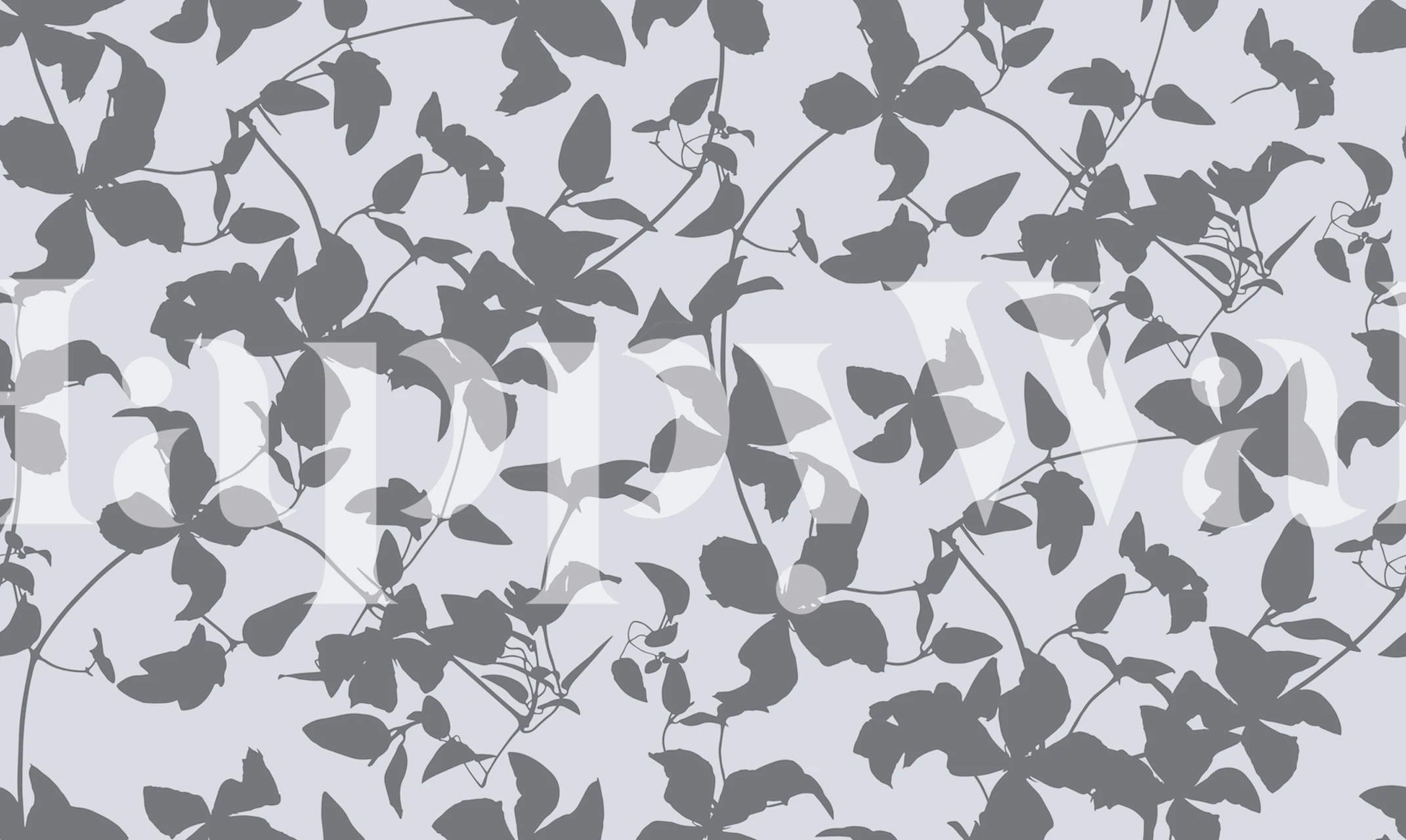 Clematis flowers and leaves in grey tones wallpaper
