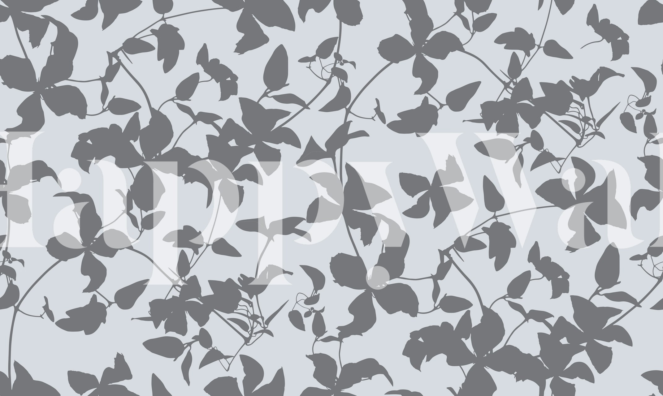 Clematis flowers and leaves in grey tones wallpaper