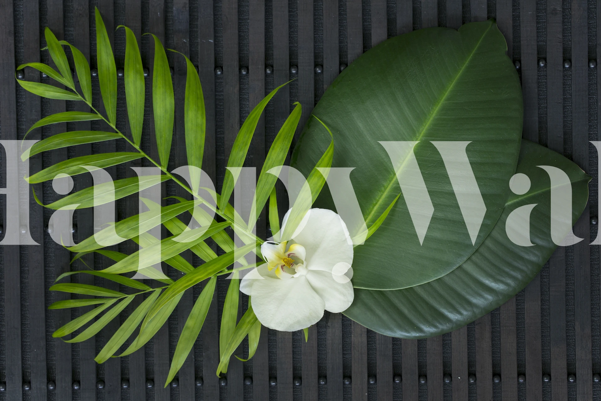 Zen Leaf Orchid Still Life wallpaper in a room