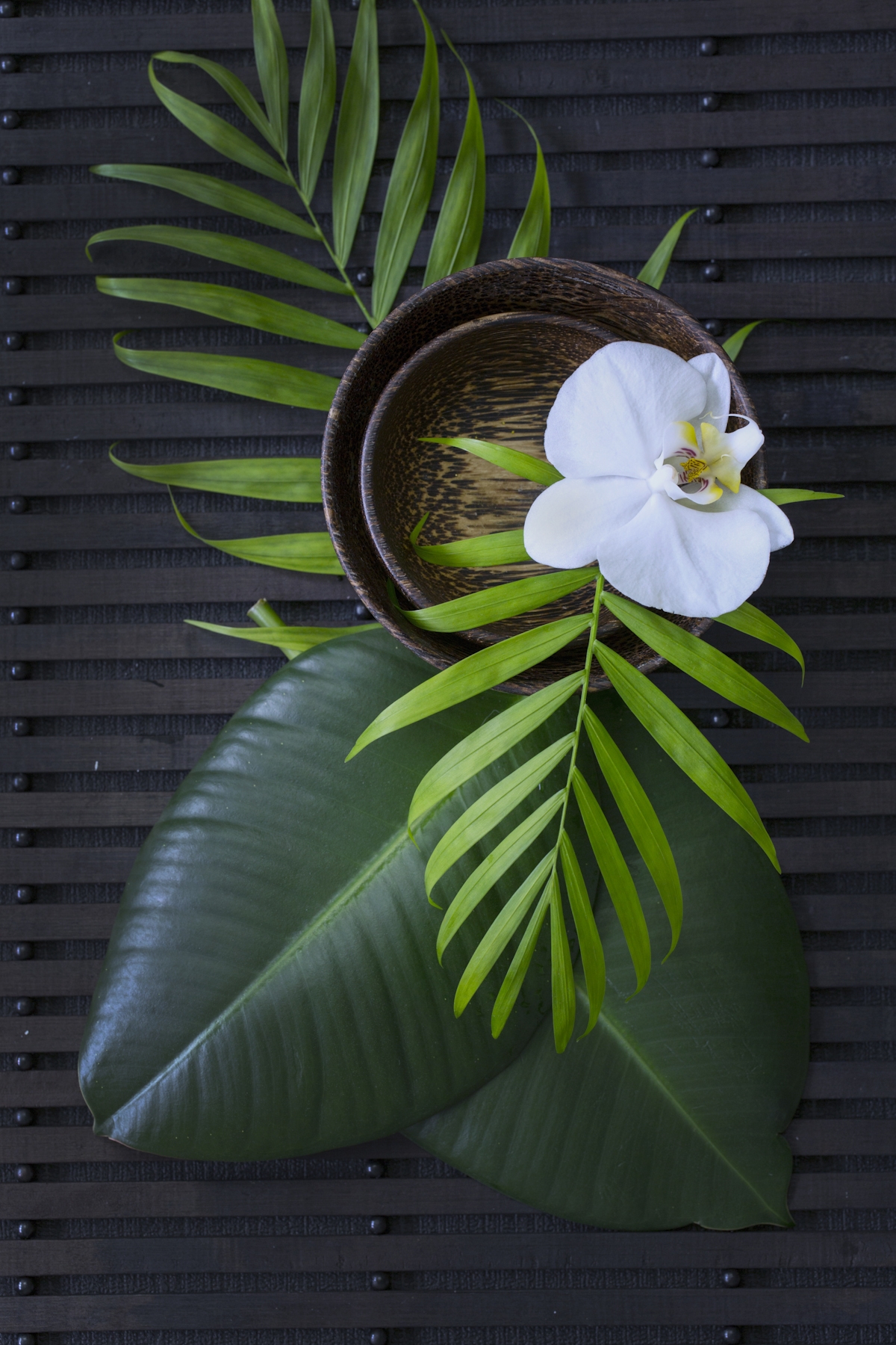 Zen Leaf Orchid Still Life 2 Wallpaper Buy Online at Happywall