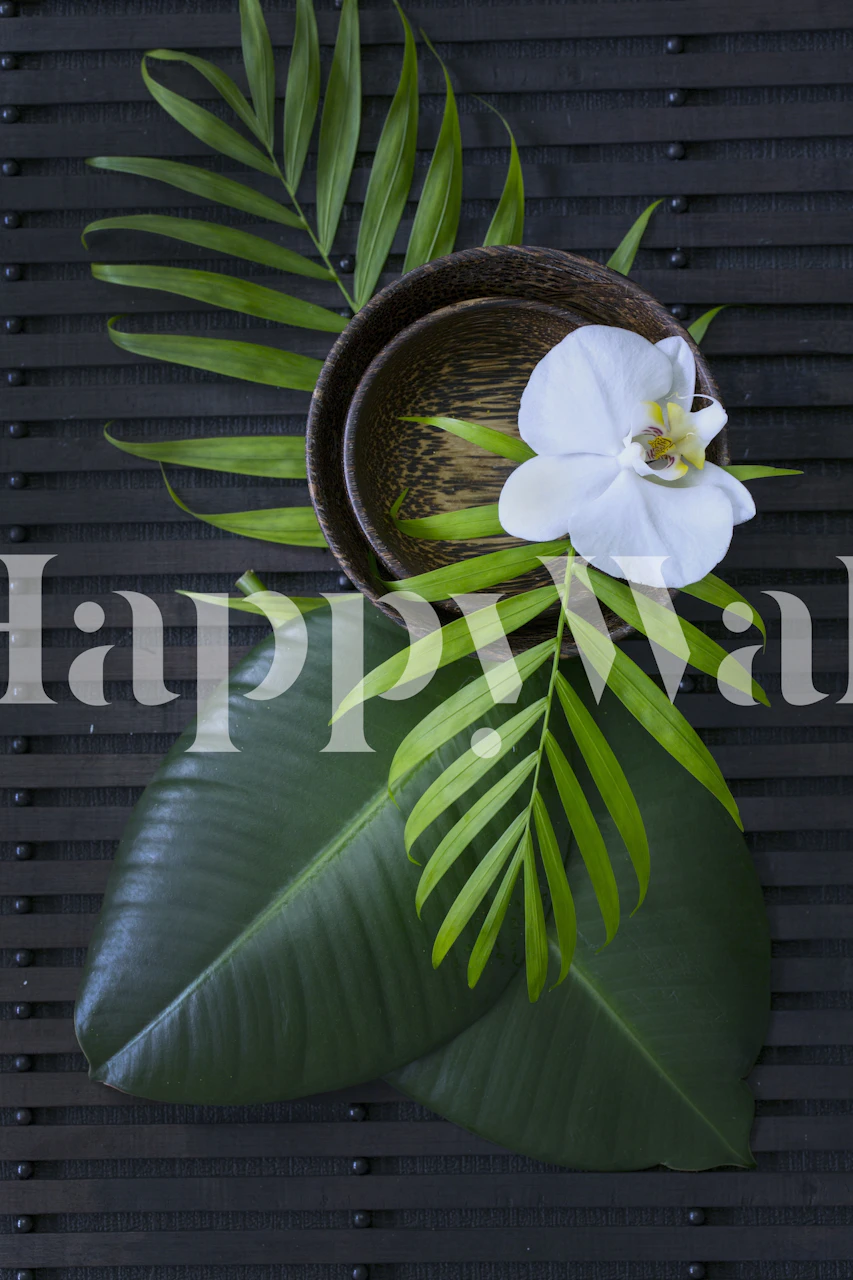 Orchid and tropical leaves in green and white wallpaper