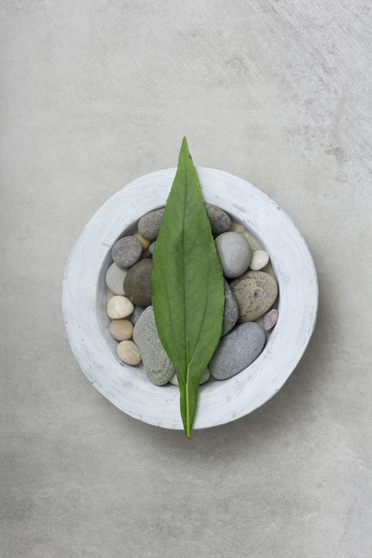 Zen Leaf Dunlap Photos 03 - 000ezpa