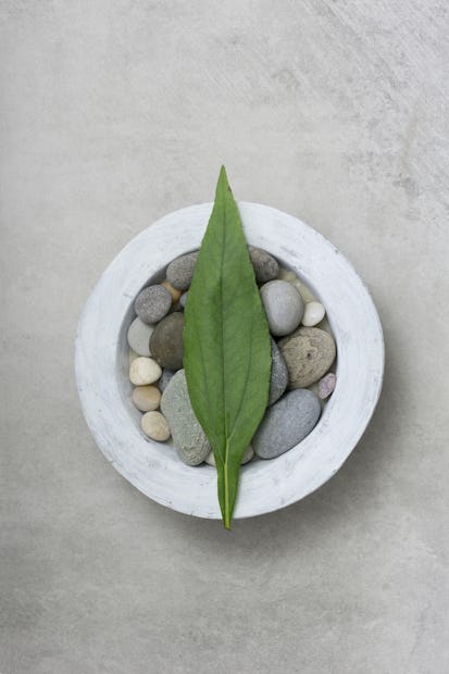 Stile Zen Natura Morta Con Foglia carta da parati | Happywall