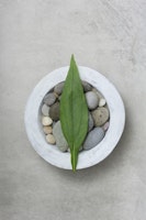 Zen Style Still Life With Leaf tapete
