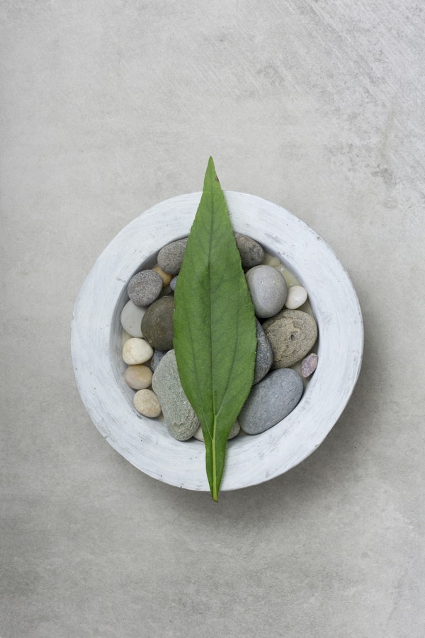 Zen Style Still Life With Leaf