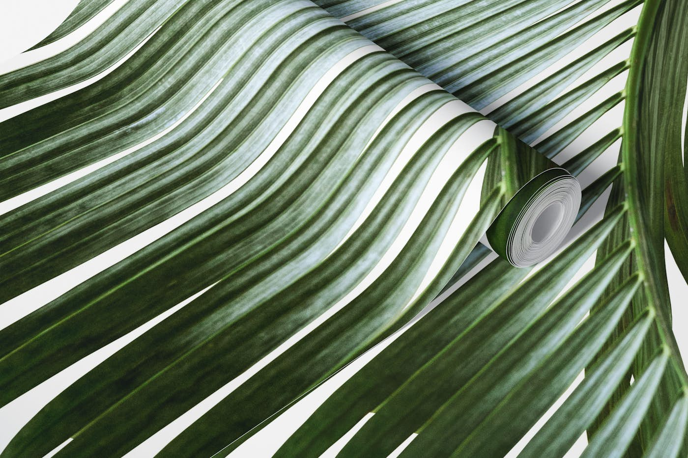 Palm Leaves Finesse 1a wallpaper roll