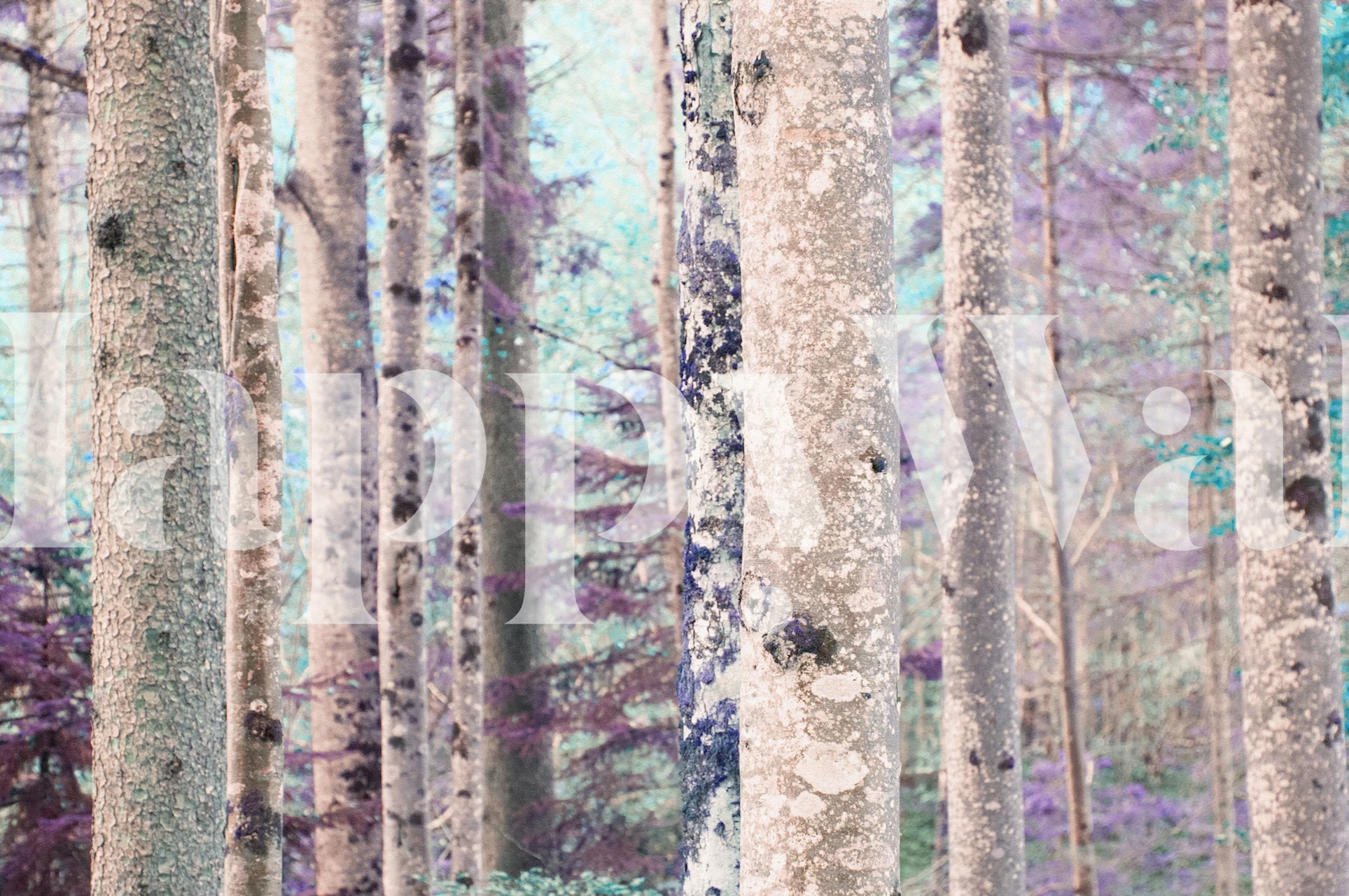 Purple and grey tree trunks in a forest wallpaper