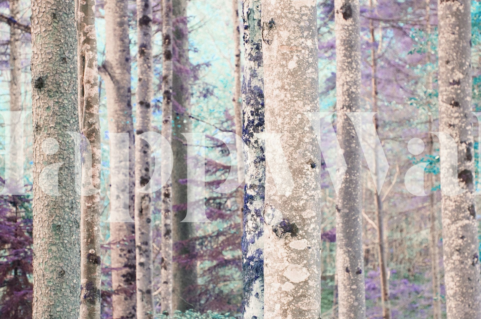 Purple and grey tree trunks in a forest wallpaper