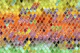 Summer Glitter Scales 2