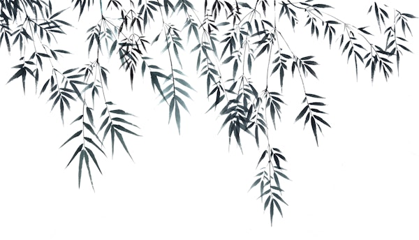 Chinese ink bamboo leaves