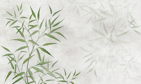 Bamboo leaves on concrete