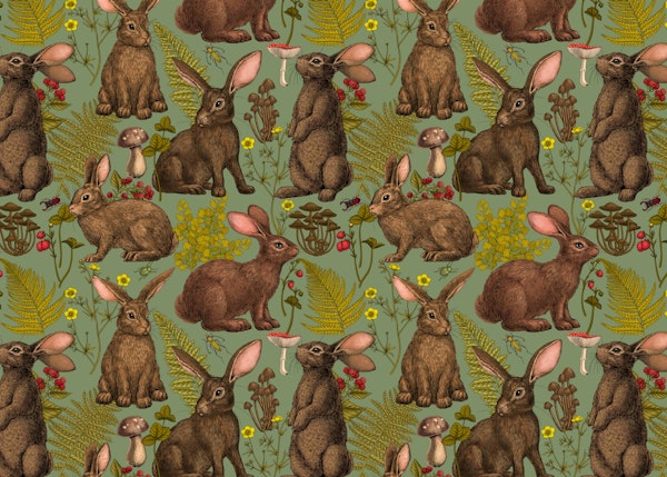 Rabbits and woodland flora
