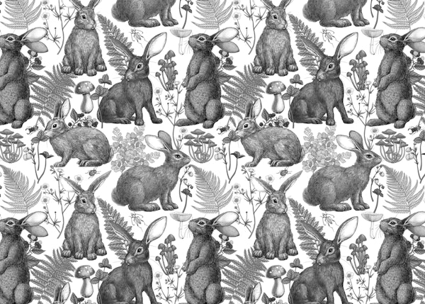 Rabbits and woodland flora 3