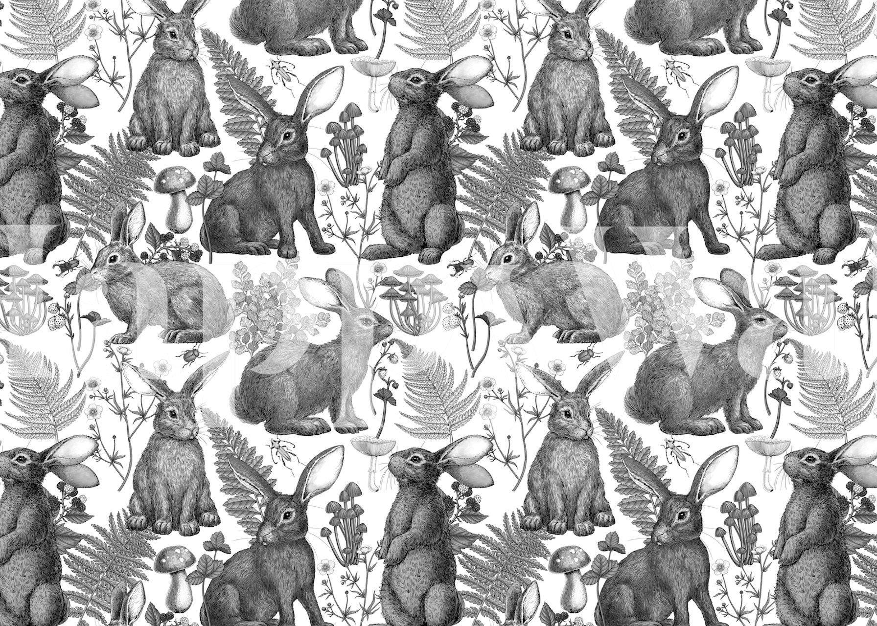Rabbits among woodland flora including mushrooms and ferns, black and white wallpaper