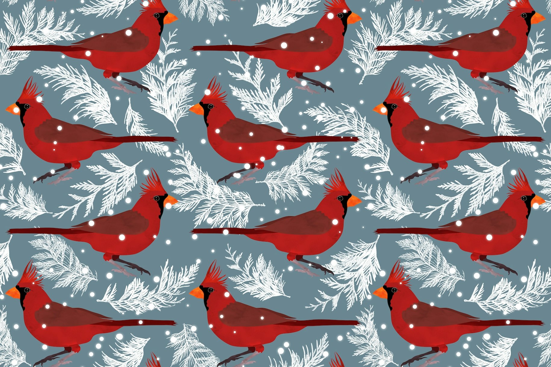 Northern cardinal blue wallpaper - Happywall