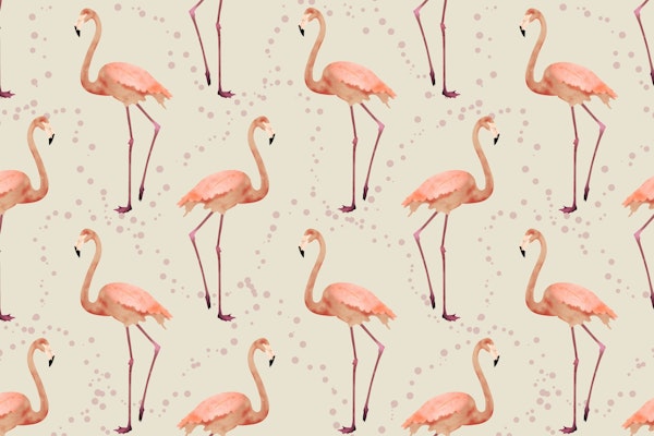 The Flamingo Dance pearl