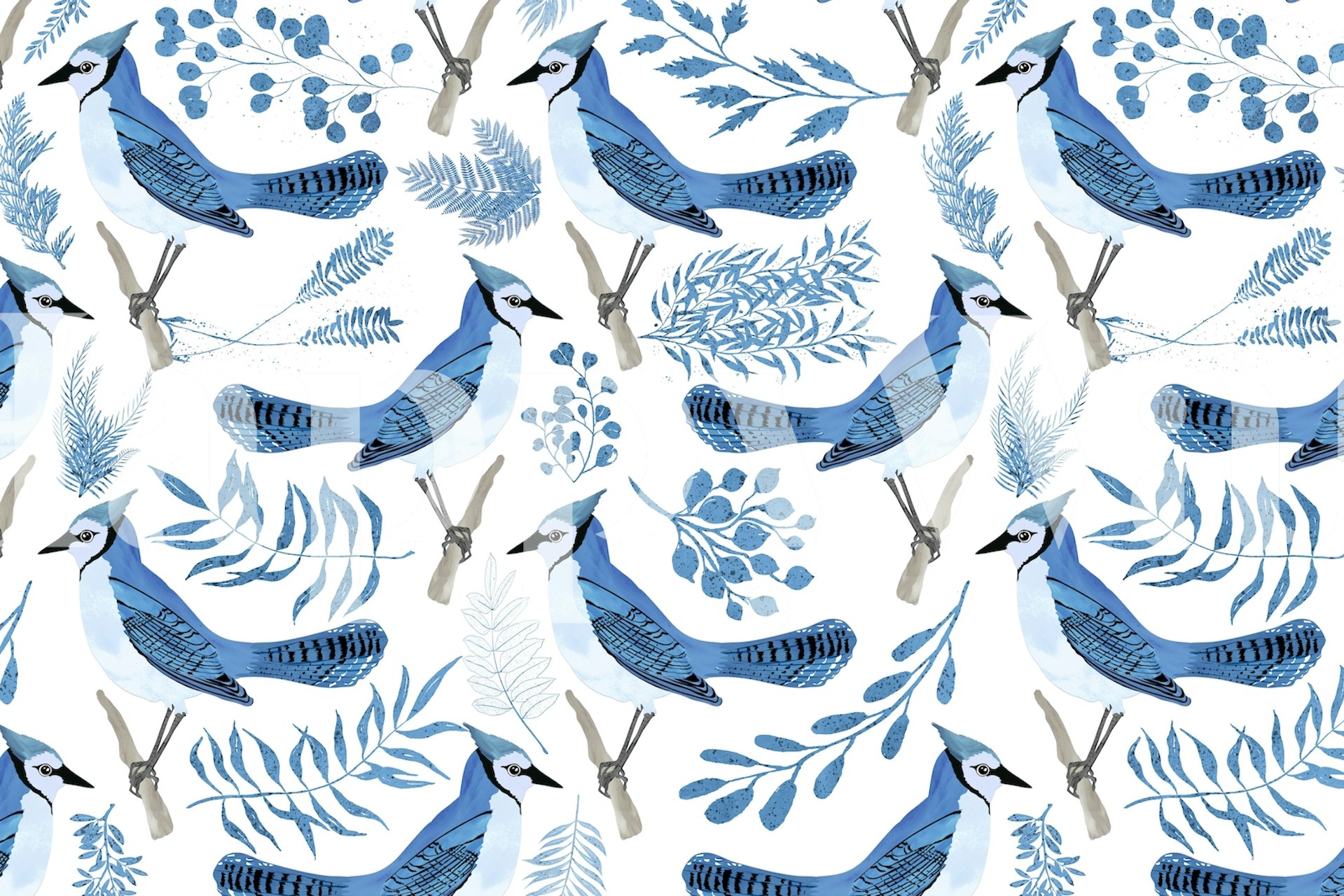 Blue Jay birds and foliage pattern in blue on white wallpaper